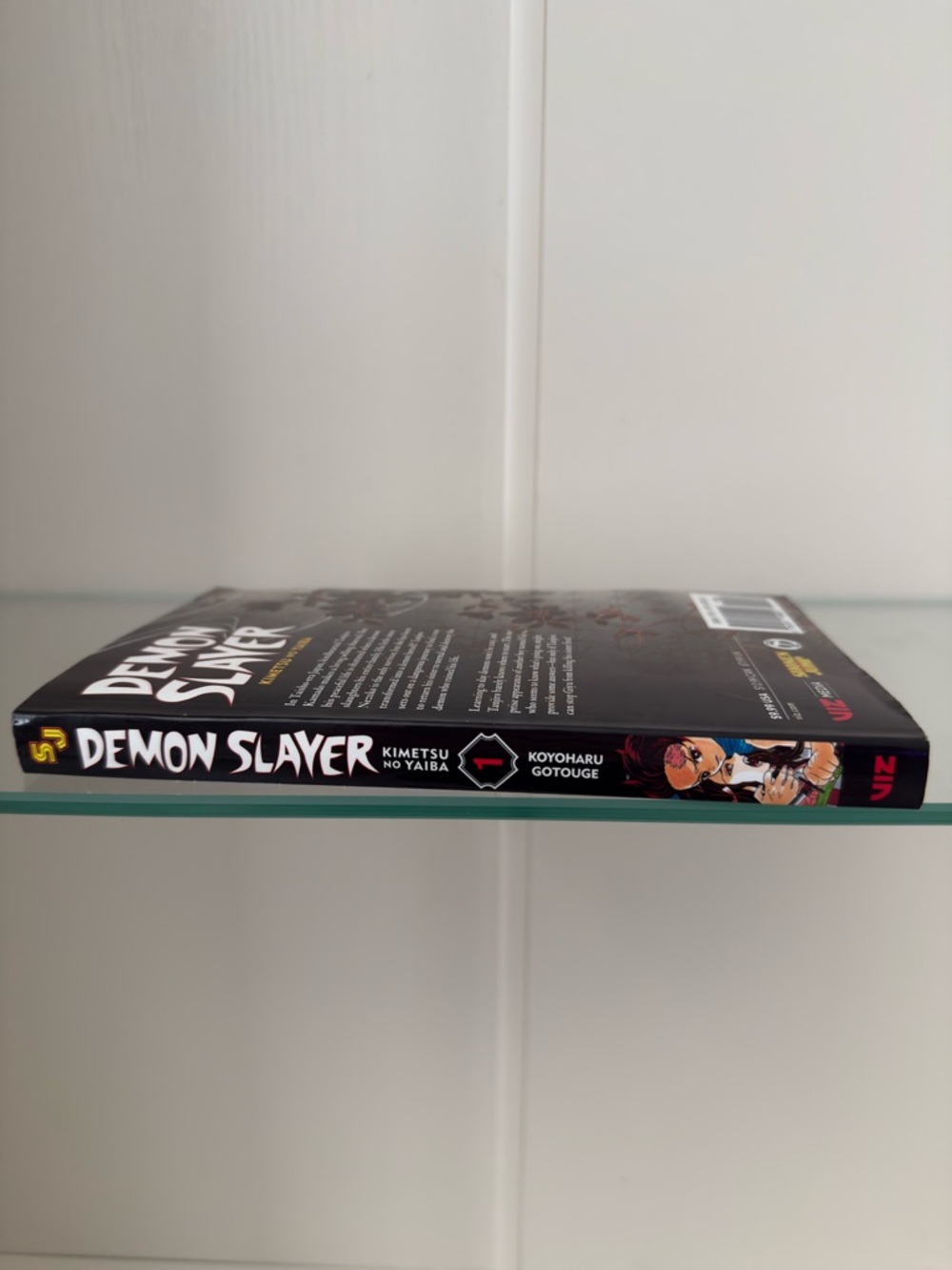 Demon Slayer Volume 5 Manga Paperback - Black